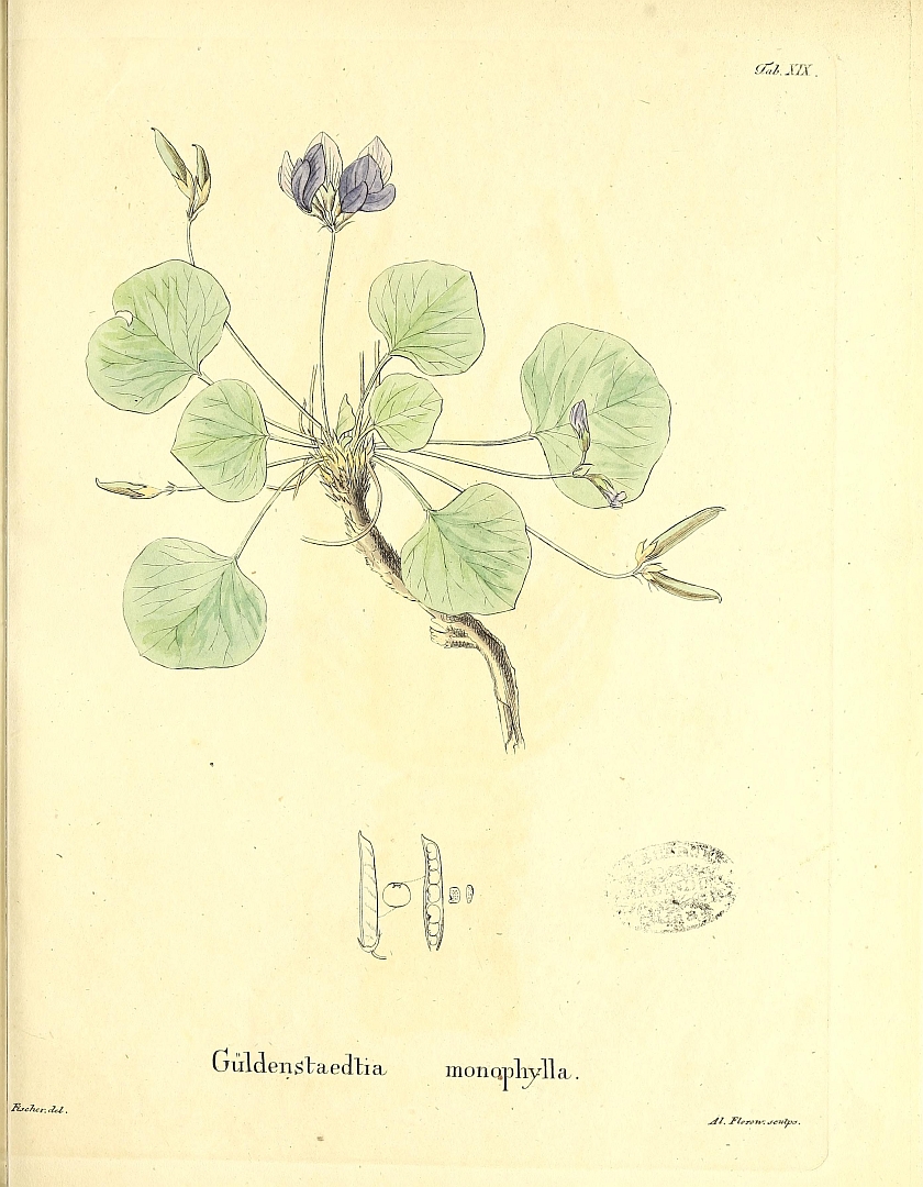 no HD illustration available (m5)