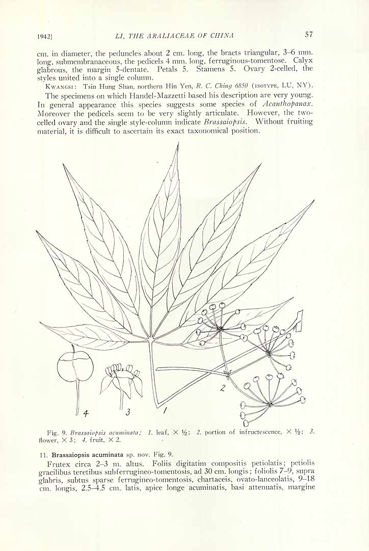 no HD illustration available (m5)