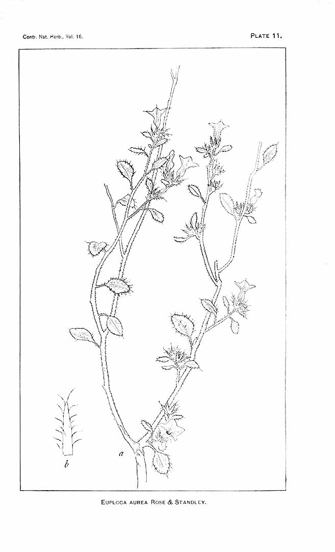 no HD illustration available (m5)