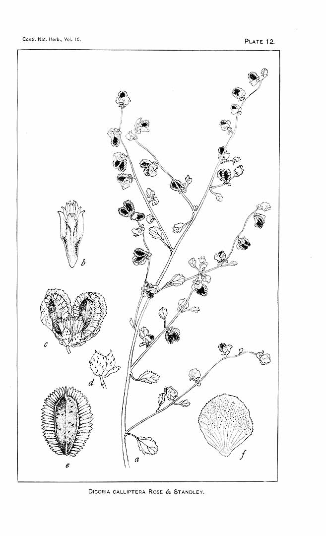 no HD illustration available (m5)