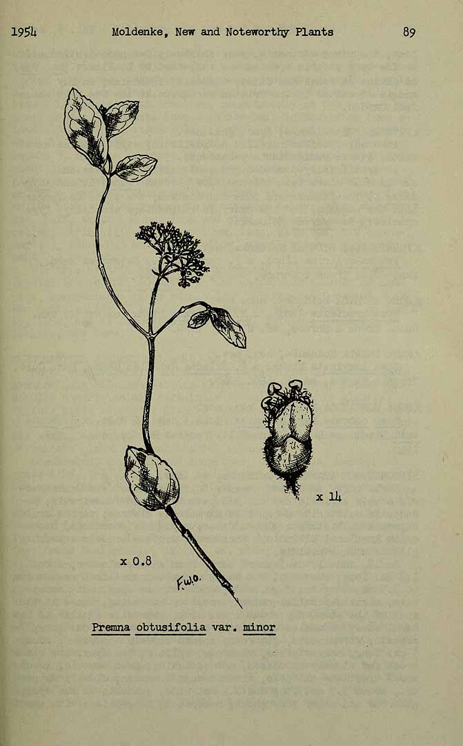 no HD illustration available (m5)