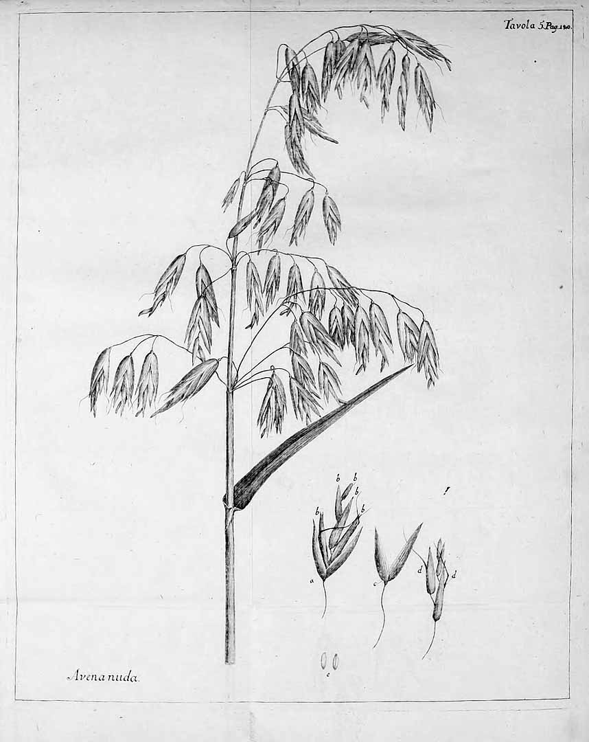 no HD illustration available (m4)