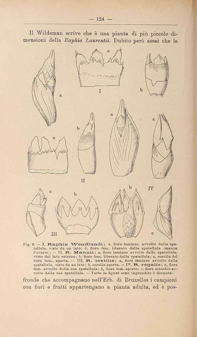 no HD illustration available (m5)