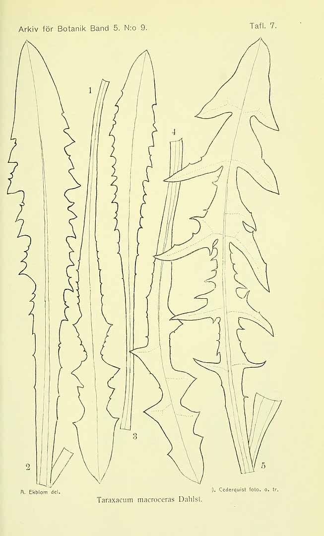 no HD illustration available (m5)
