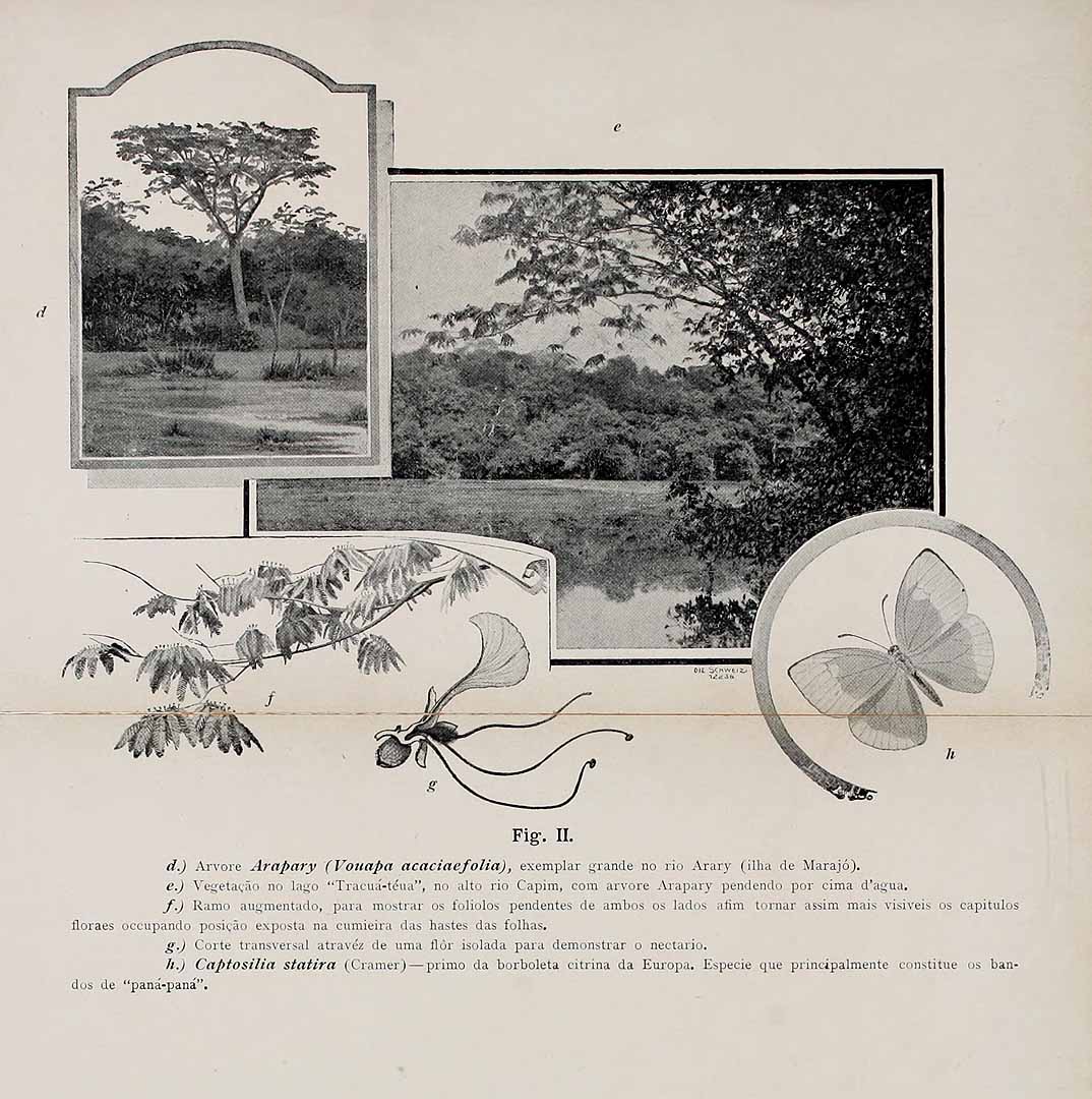 no HD illustration available (m5)