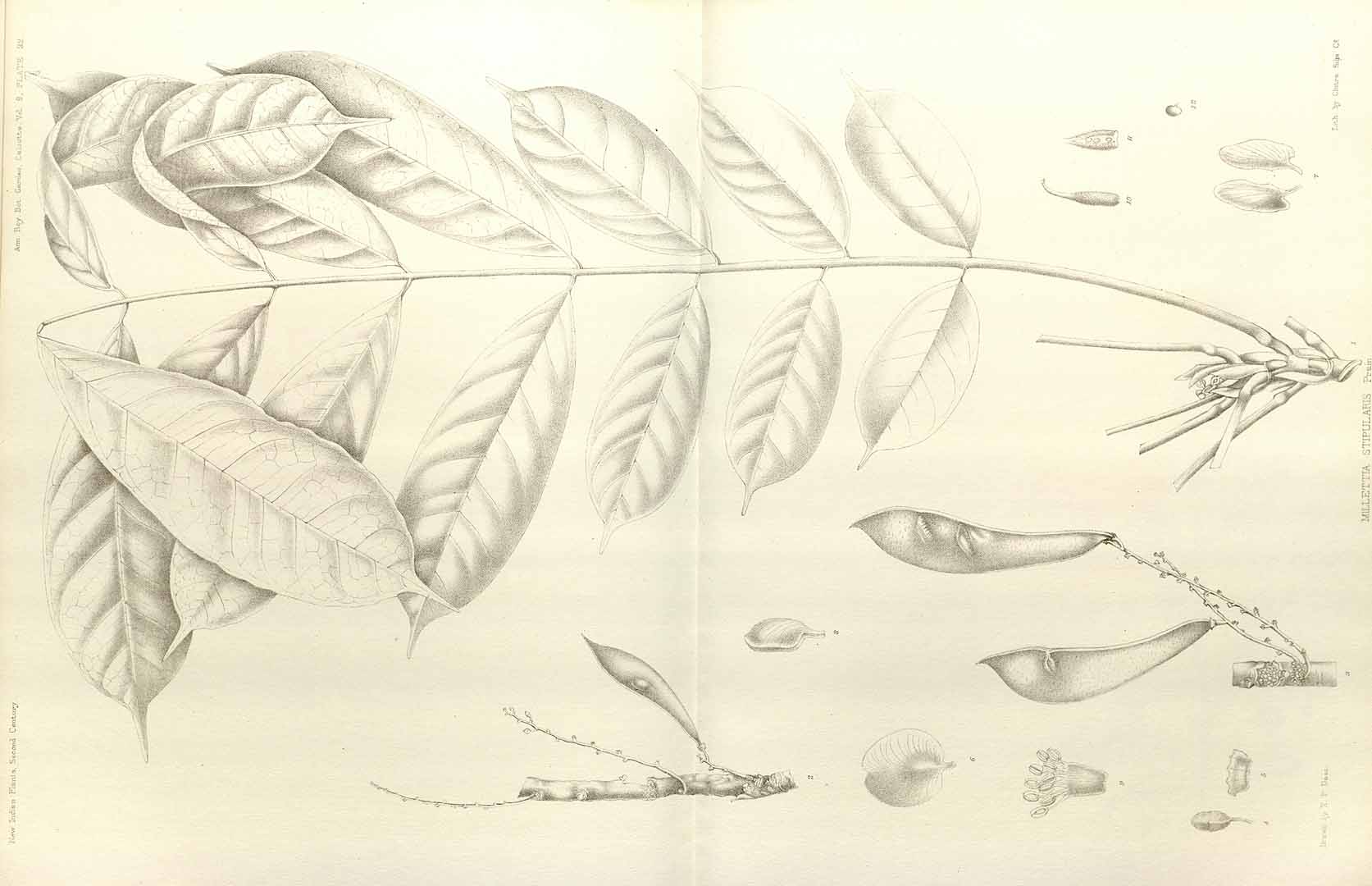 no HD illustration available (m5)
