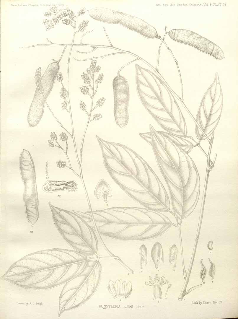 no HD illustration available (m5)
