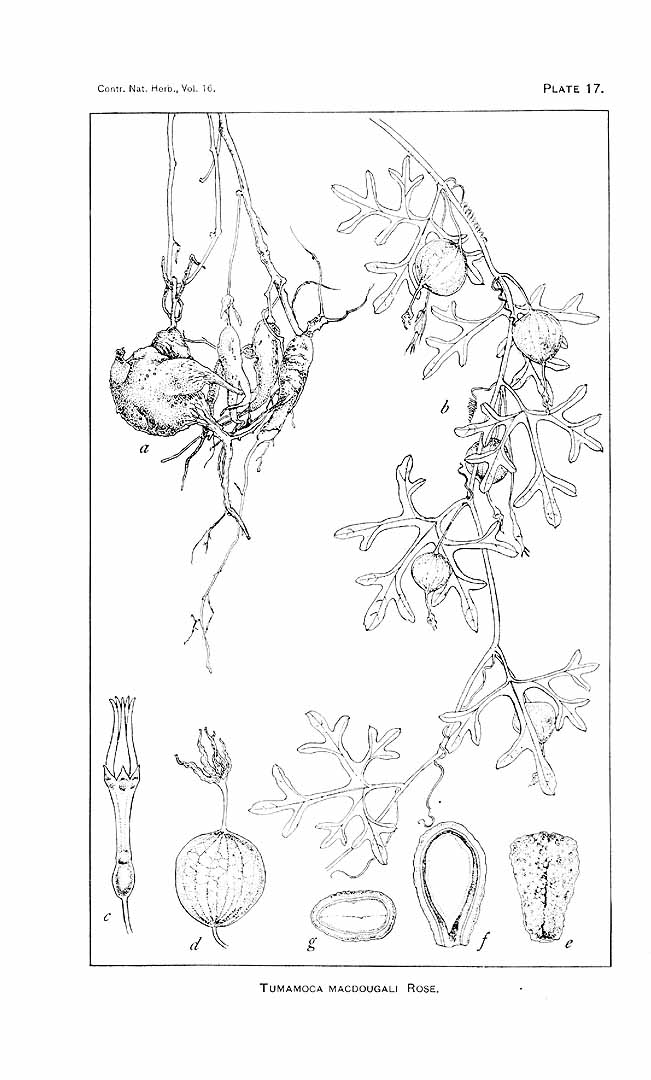 no HD illustration available (m5)