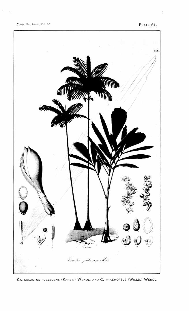 no HD illustration available (m5)