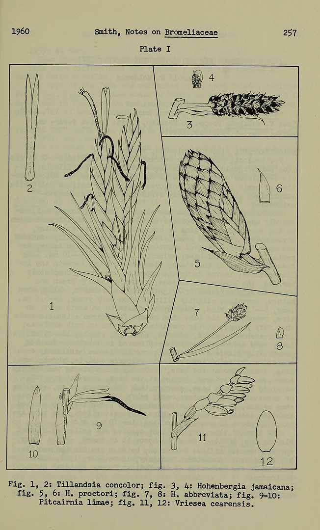 no HD illustration available (m5)