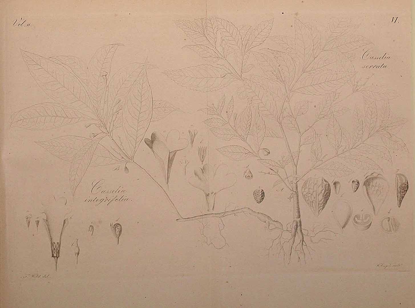 no HD illustration available (m5)
