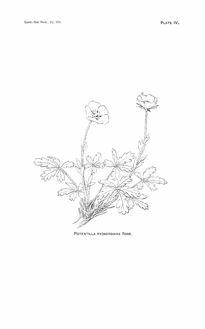 no HD illustration available (m5)