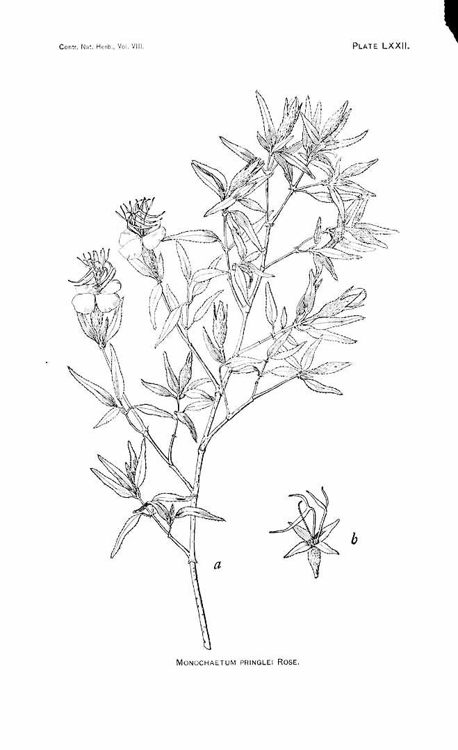 no HD illustration available (m5)