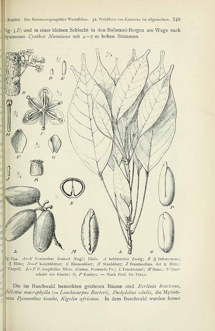 no HD illustration available (m5)