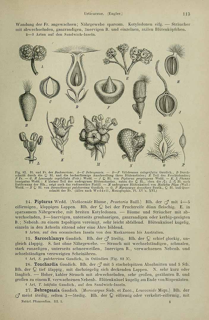 no HD illustration available (m5)