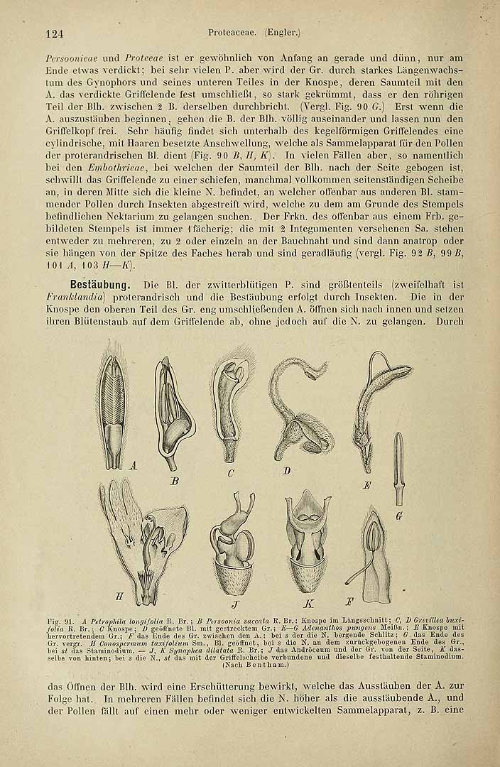 no HD illustration available (m5)