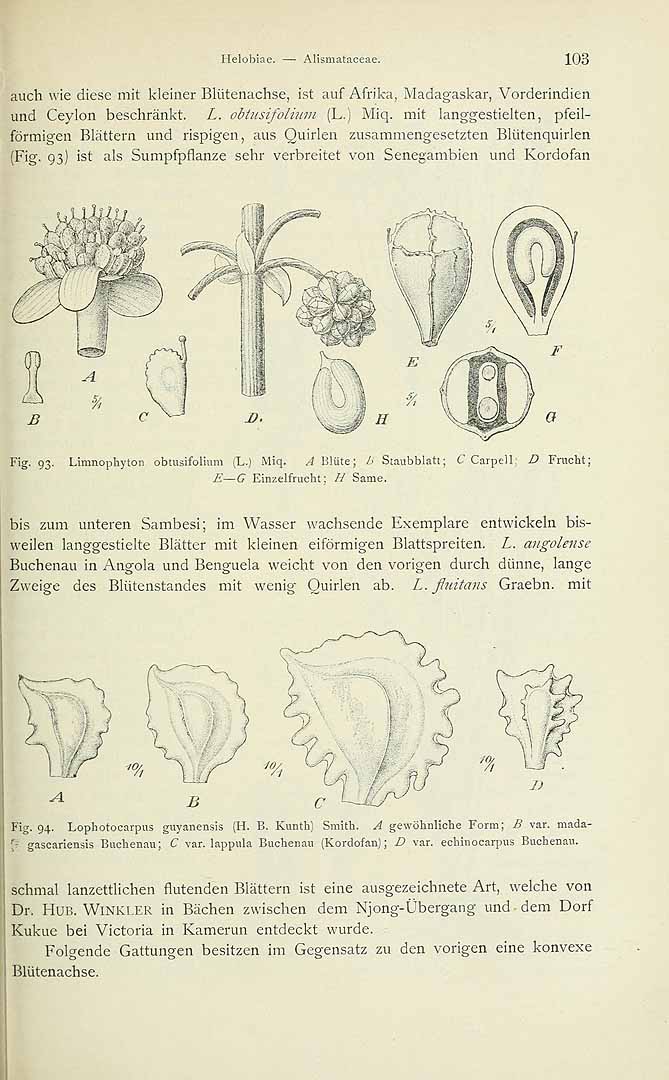 no HD illustration available (m5)