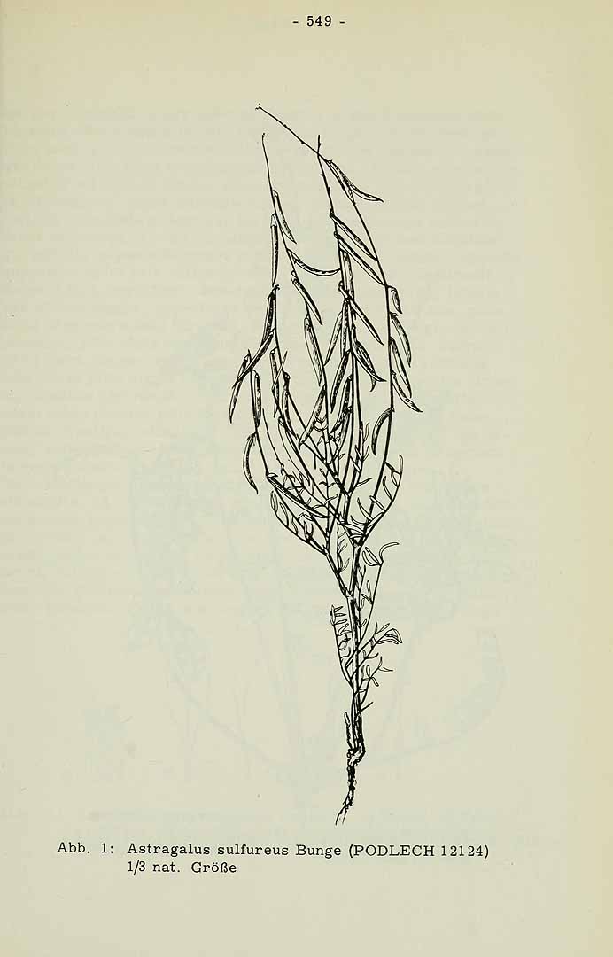 no HD illustration available (m5)
