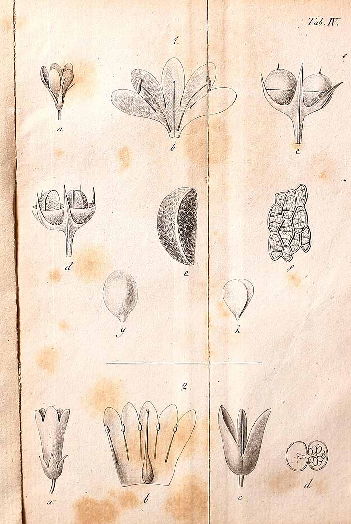 no HD illustration available (m5)
