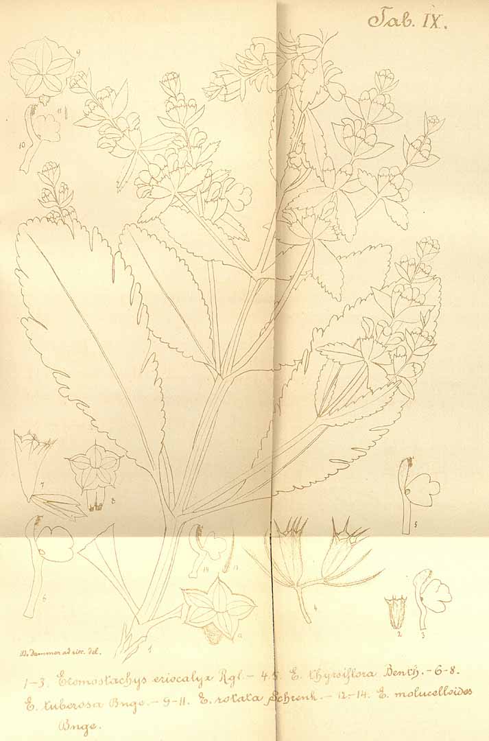 no HD illustration available (m5)