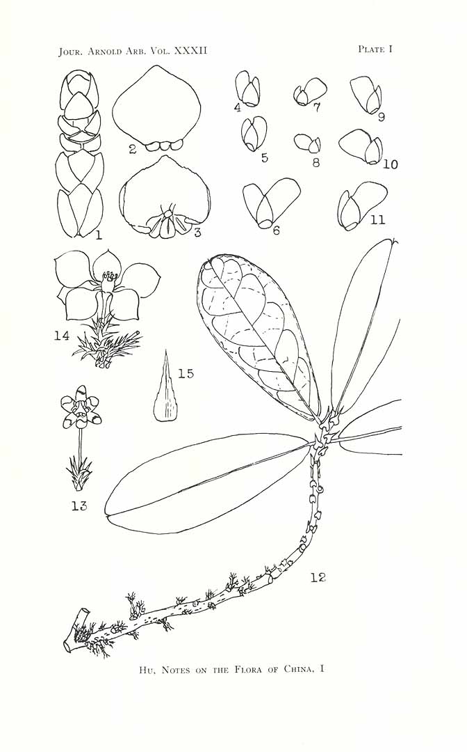 no HD illustration available (m5)