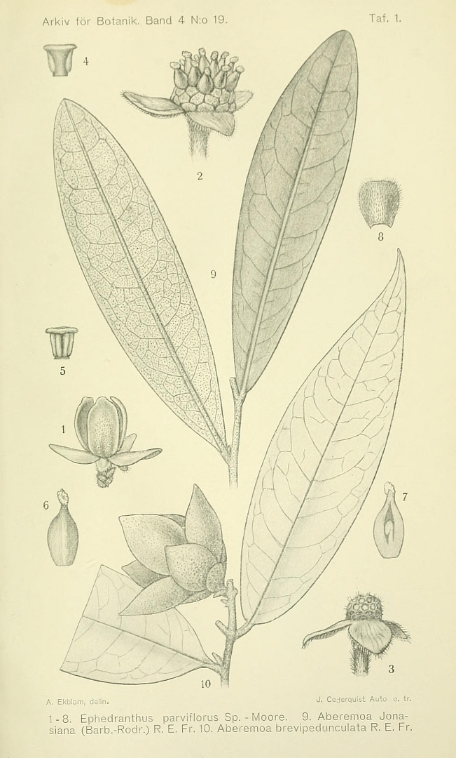 no HD illustration available (m5)