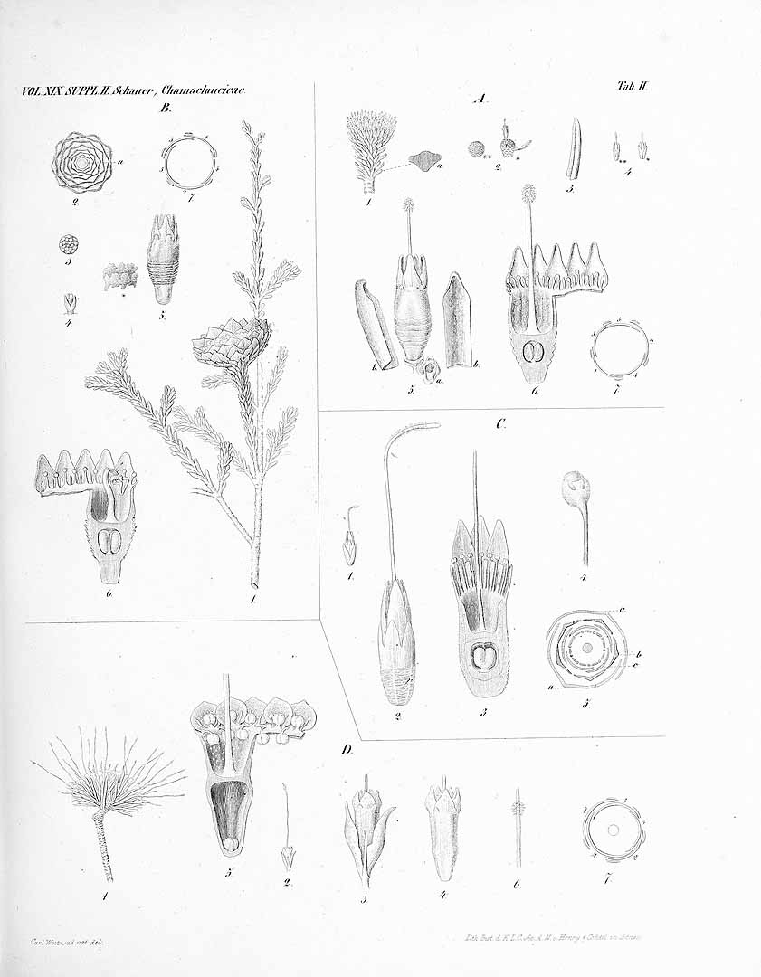 no HD illustration available (m5)