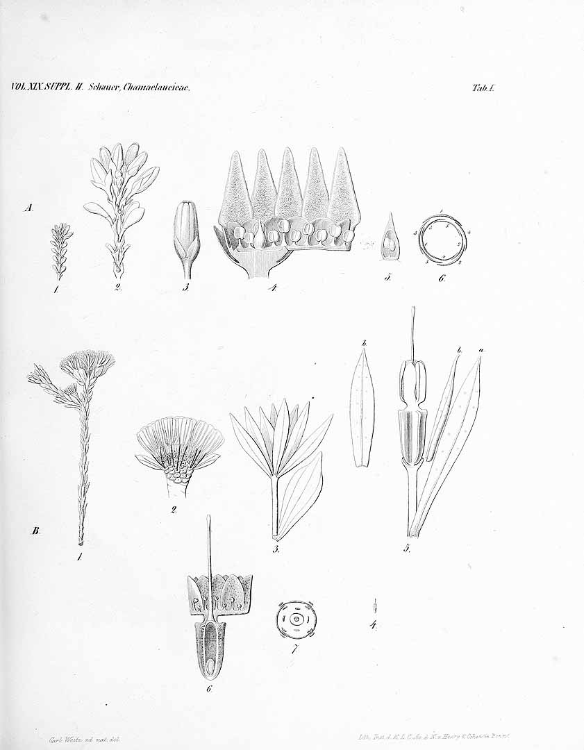 no HD illustration available (m5)