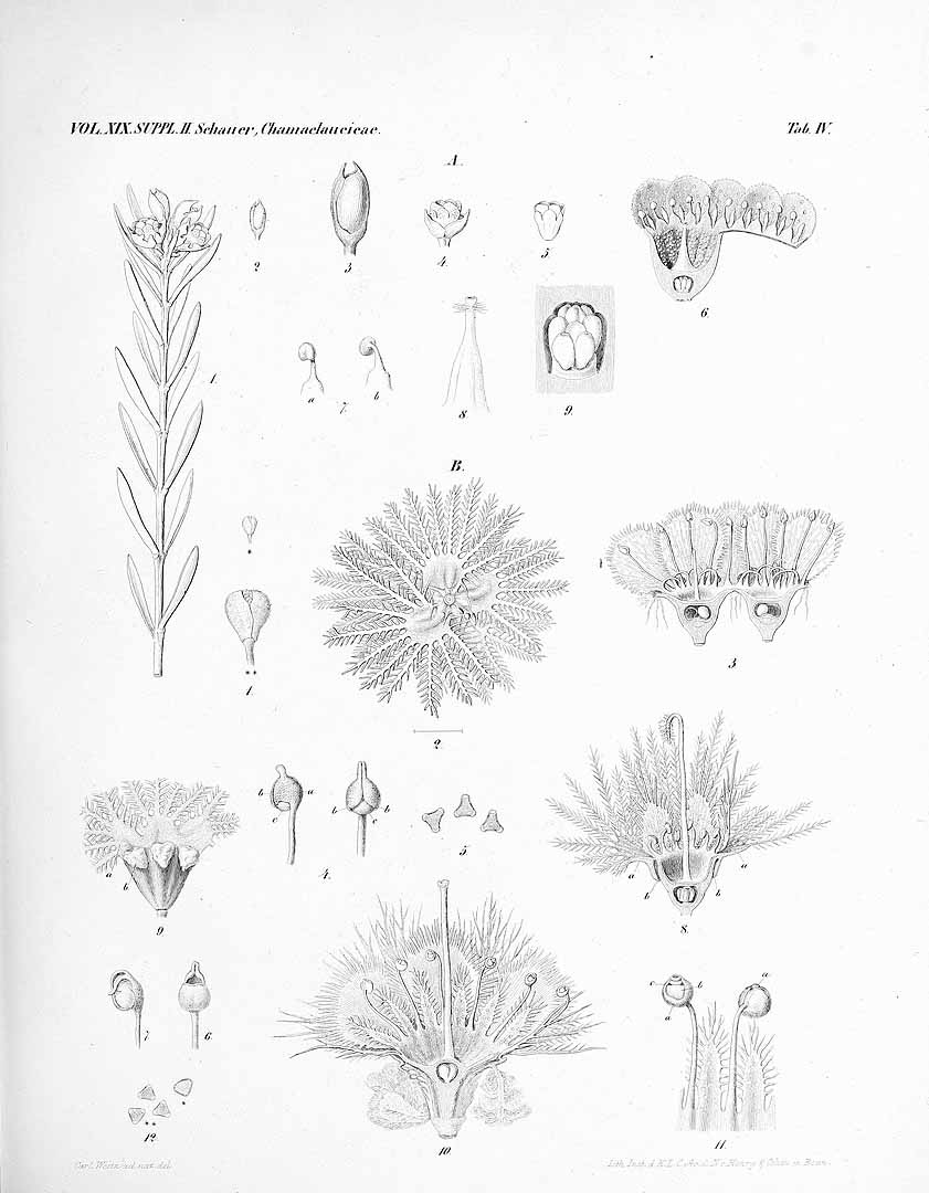 no HD illustration available (m5)