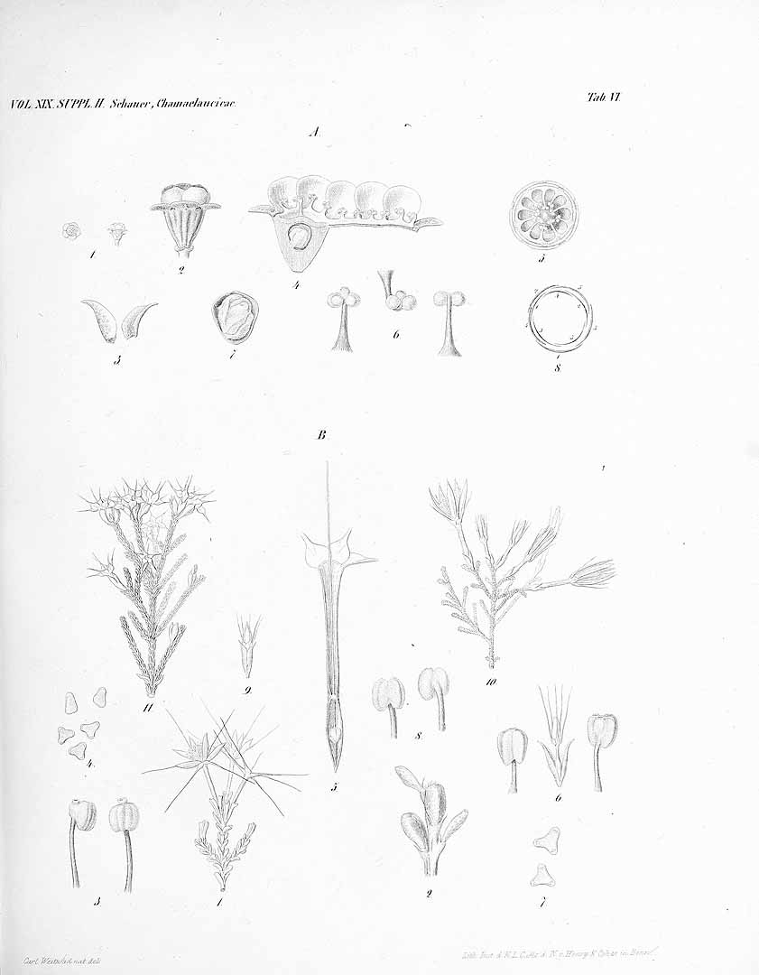 no HD illustration available (m5)