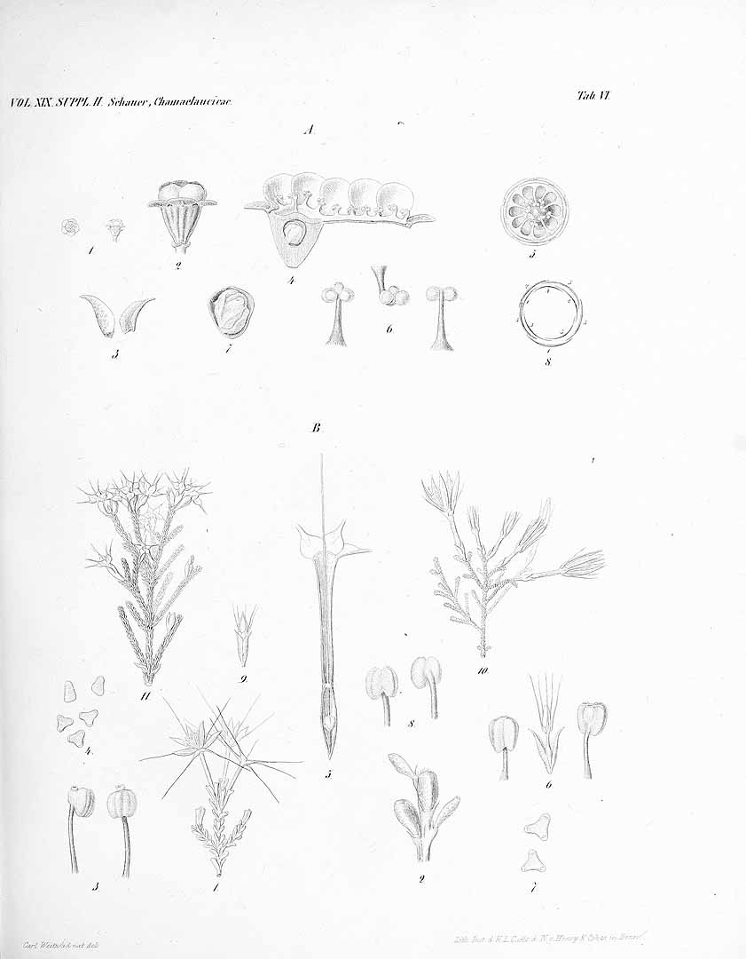 no HD illustration available (m5)