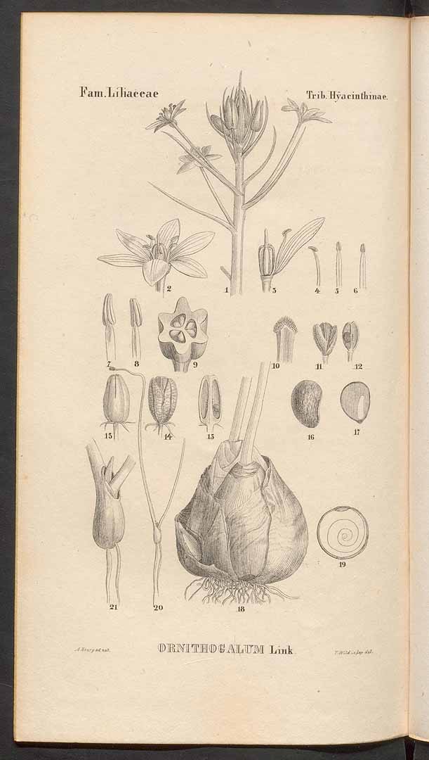 no HD illustration available (m5)