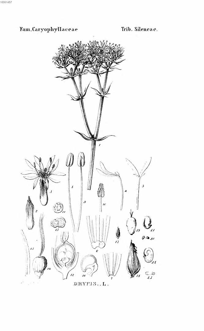 no HD illustration available (m5)