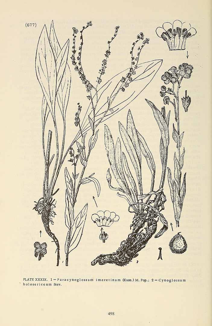 no HD illustration available (m5)