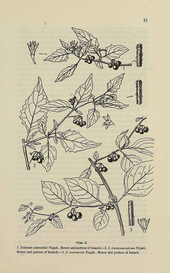 no HD illustration available (m5)