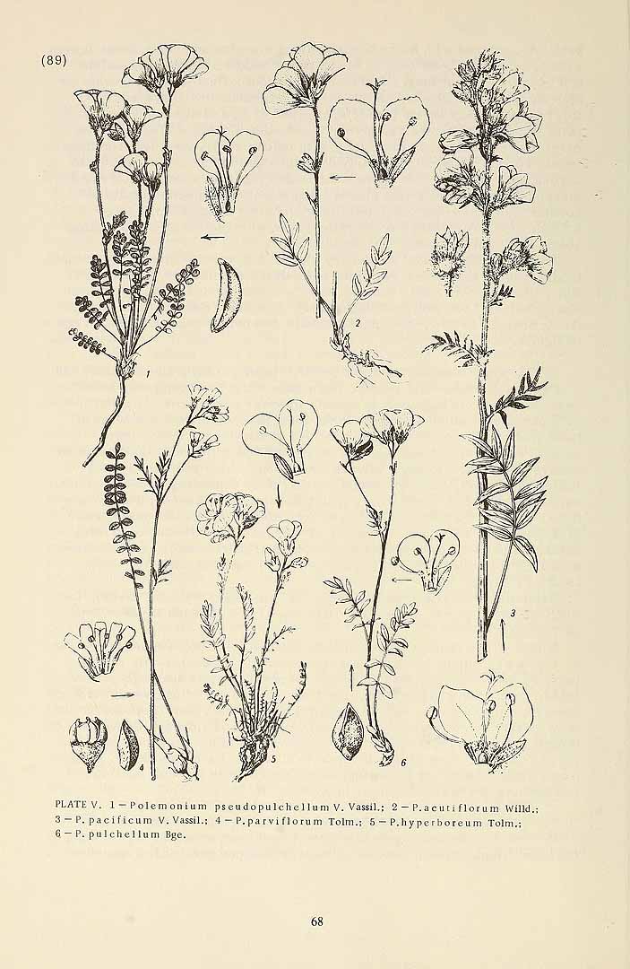 no HD illustration available (m5)