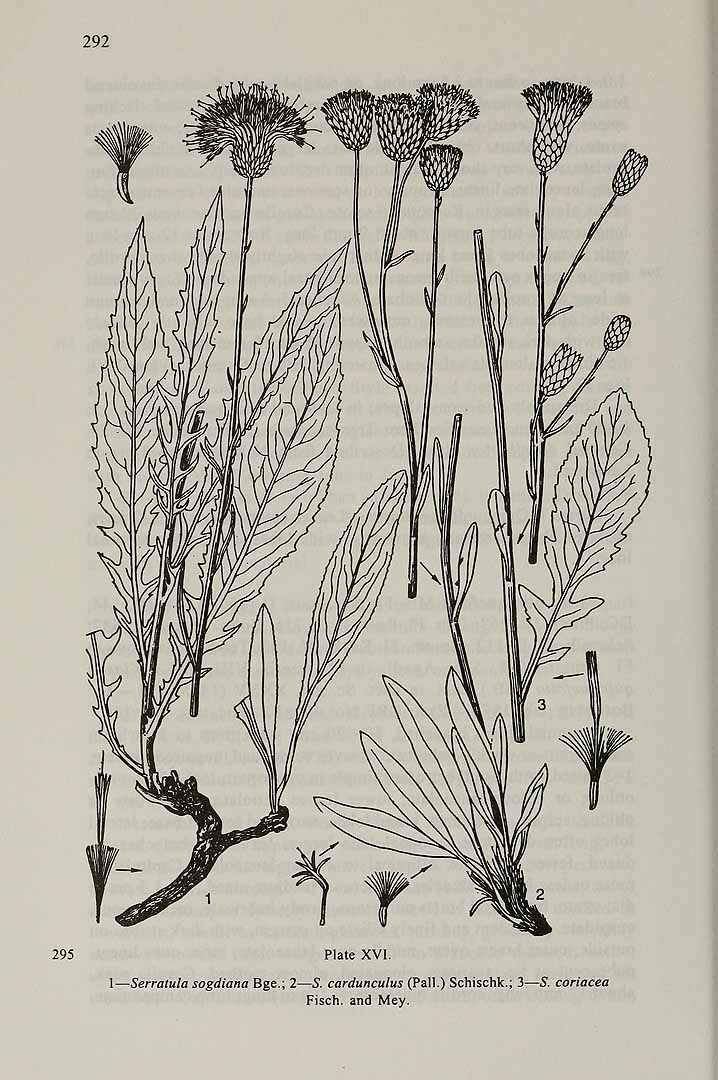 no HD illustration available (m5)