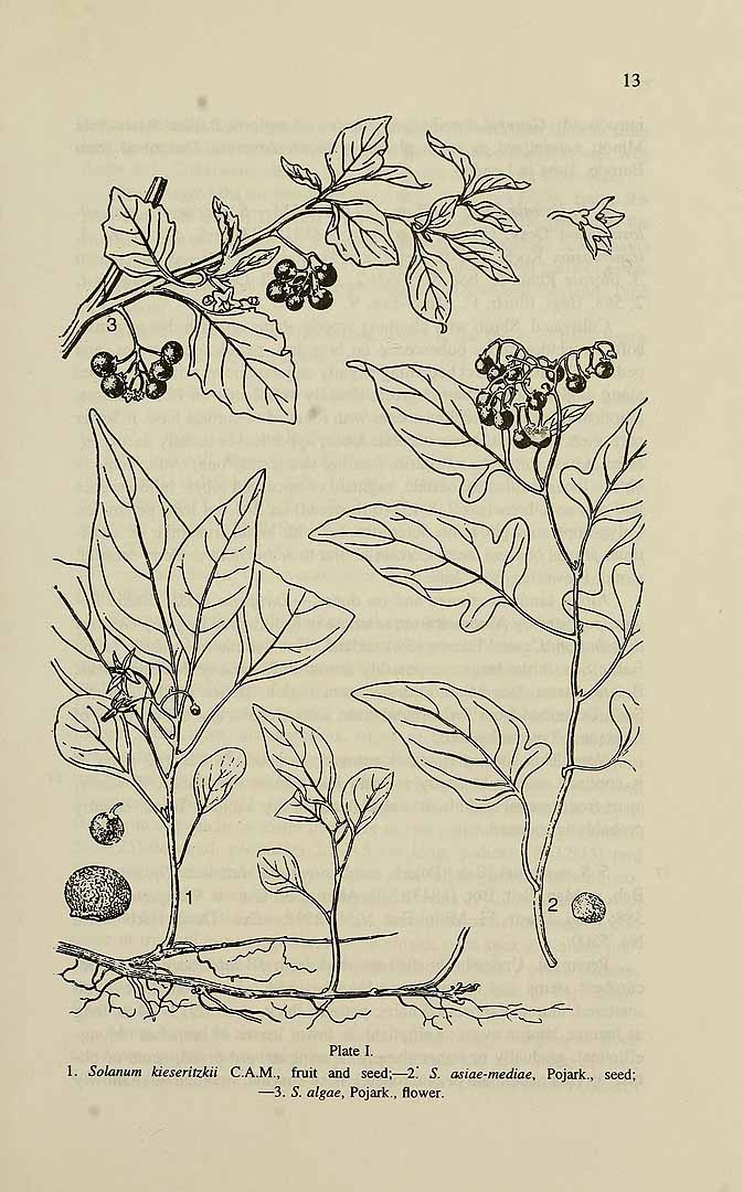 no HD illustration available (m5)