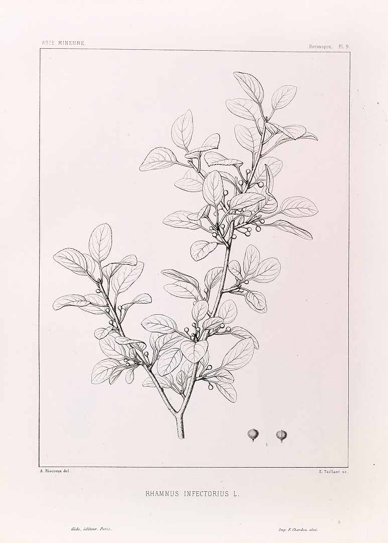 no HD illustration available (m5)