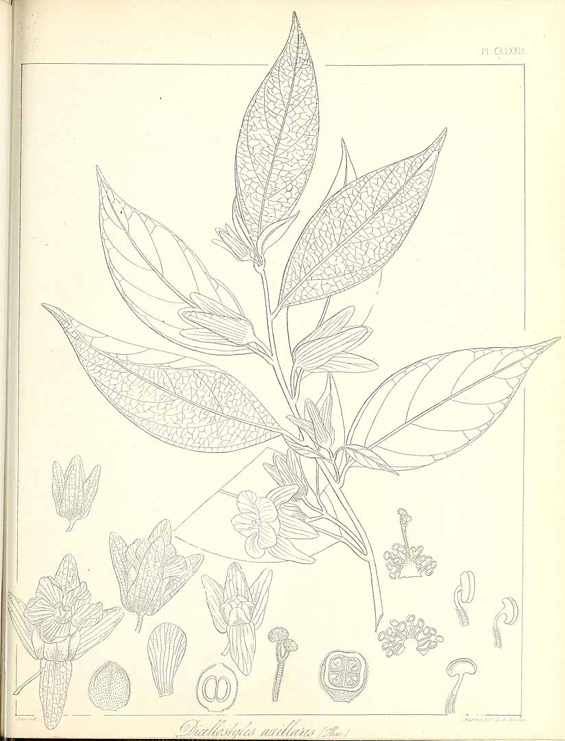 no HD illustration available (m5)