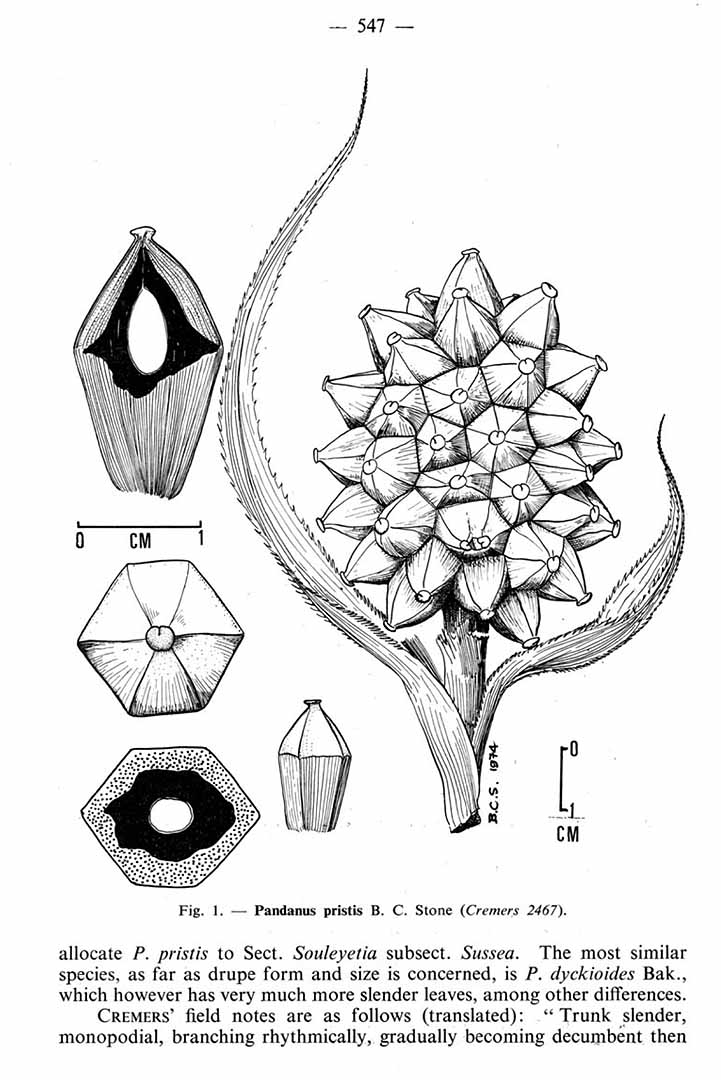 no HD illustration available (m5)