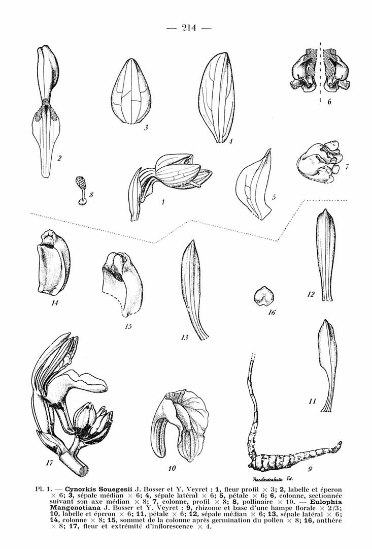 no HD illustration available (m5)