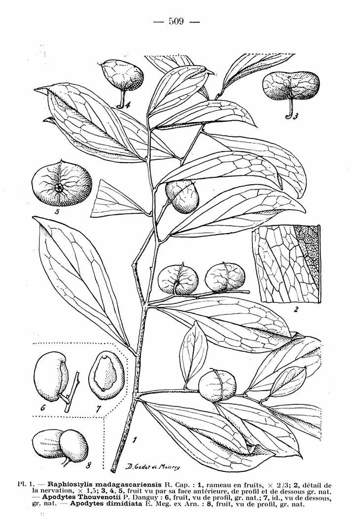 no HD illustration available (m5)