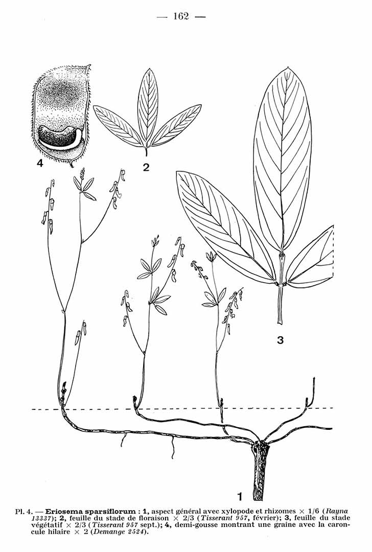 no HD illustration available (m5)