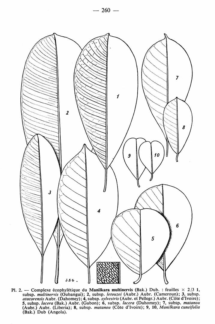no HD illustration available (m5)