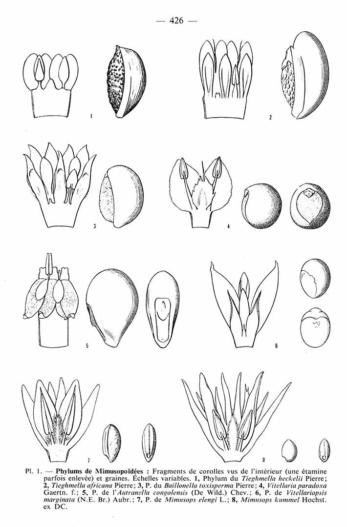 no HD illustration available (m1)