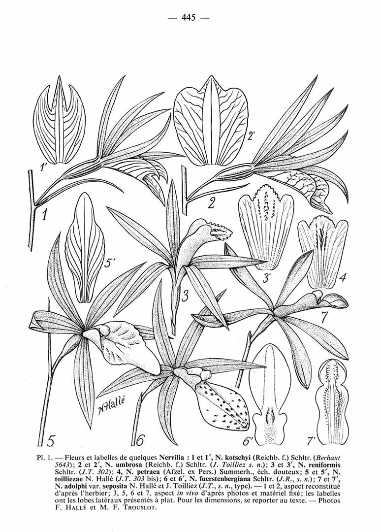 no HD illustration available (m5)