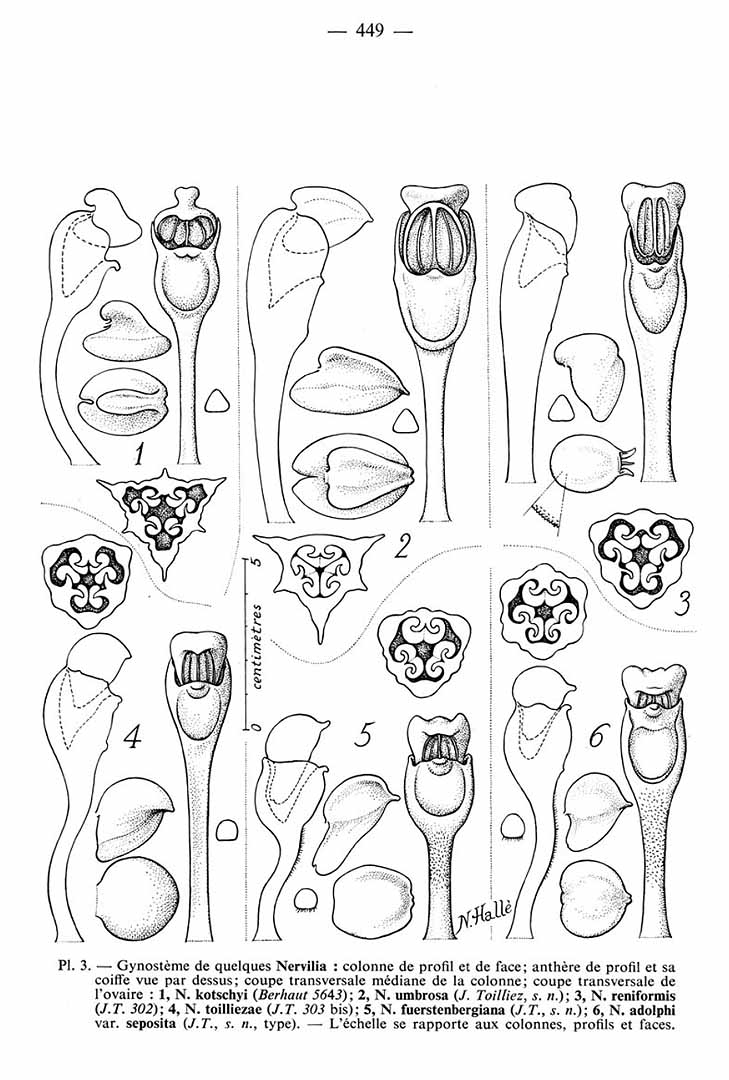 no HD illustration available (m5)
