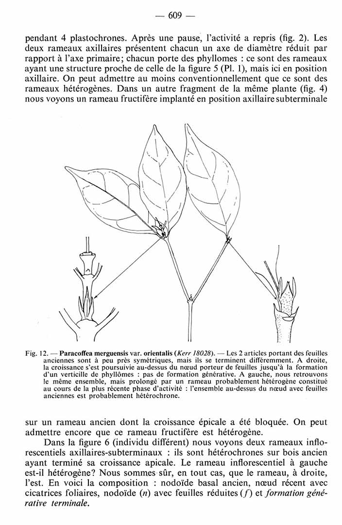 no HD illustration available (m5)