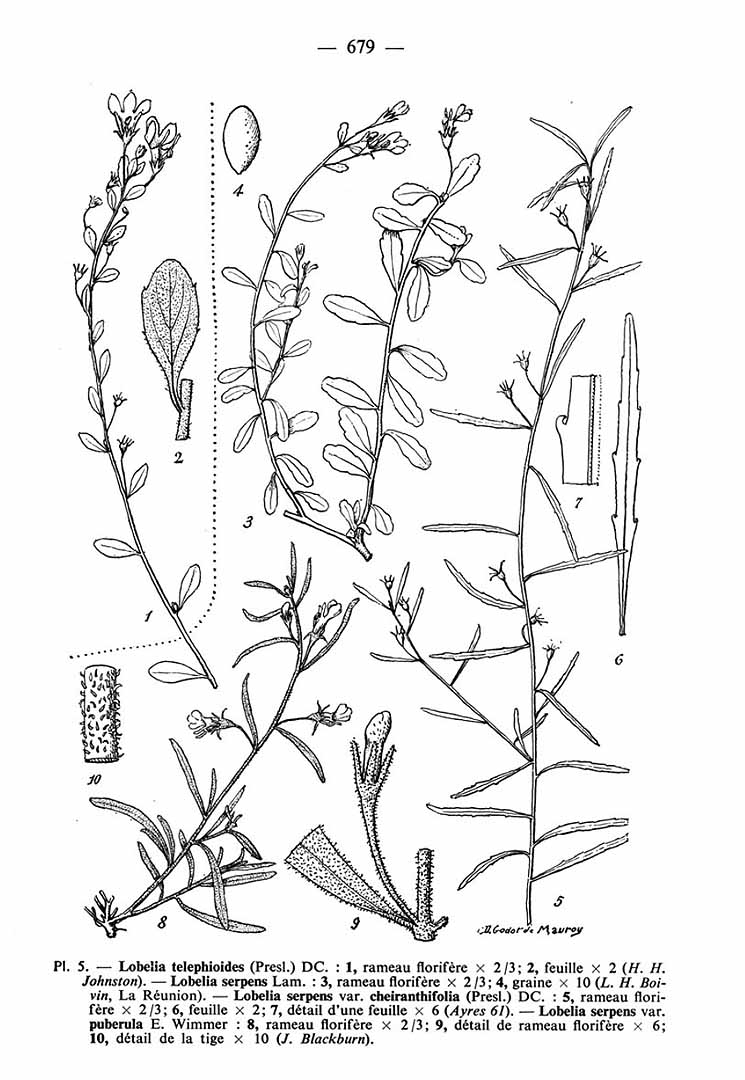no HD illustration available (m5)